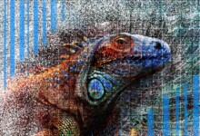 Refur Geirdal - geirdal.is Refur Geirdal