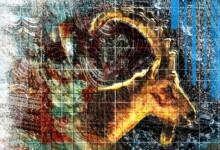 Refur Geirdal - geirdal.is Refur Geirdal