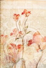 Refur Geirdal - geirdal.is Refur Geirdal