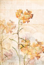 Refur Geirdal - geirdal.is Refur Geirdal