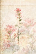 Refur Geirdal - geirdal.is Refur Geirdal