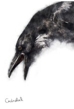 Refur Geirdal - geirdal.is Refur Geirdal