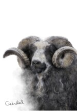 Refur Geirdal - geirdal.is Refur Geirdal